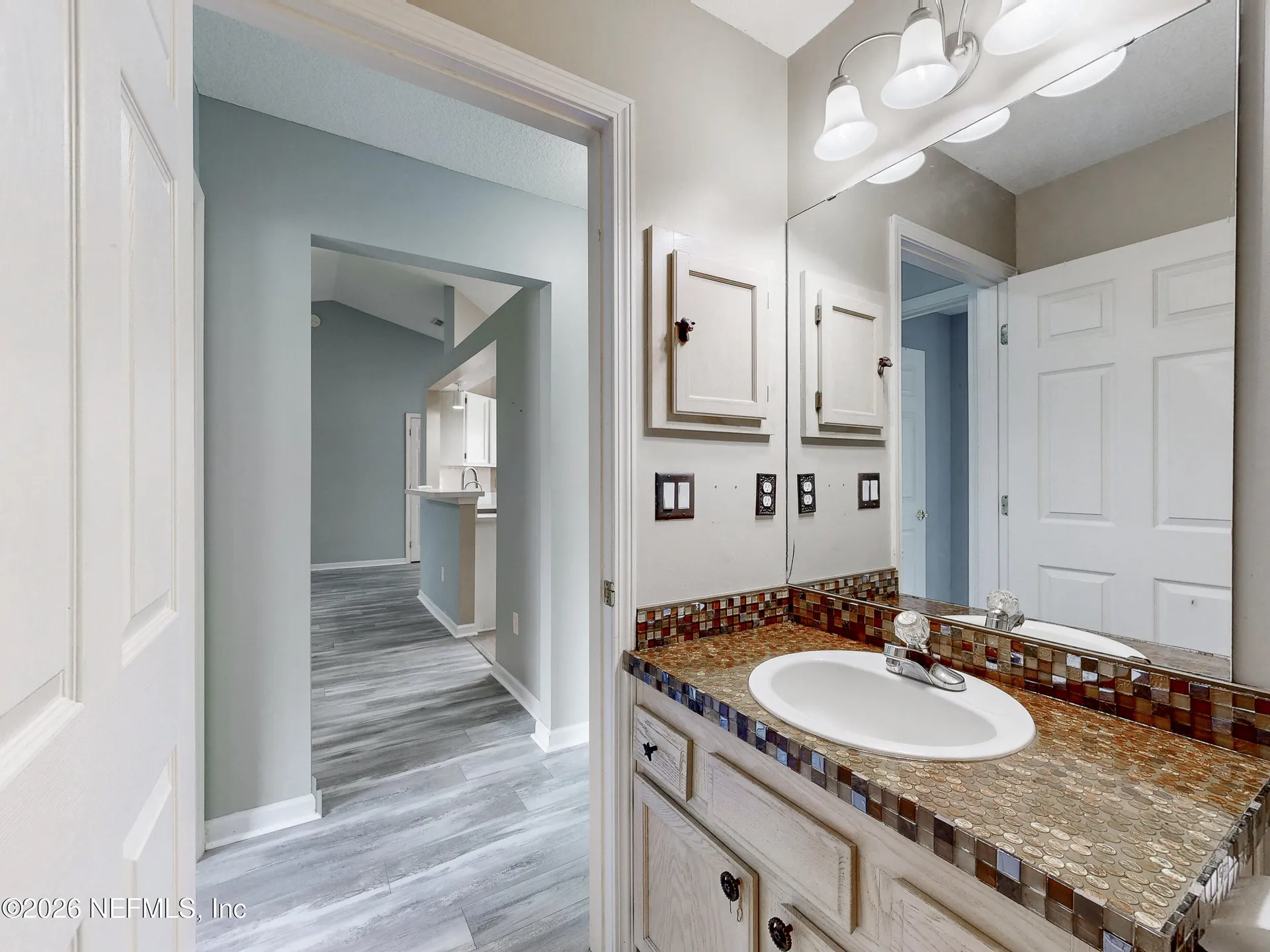 2084 Frogmore Drive Middleburg FL 32068