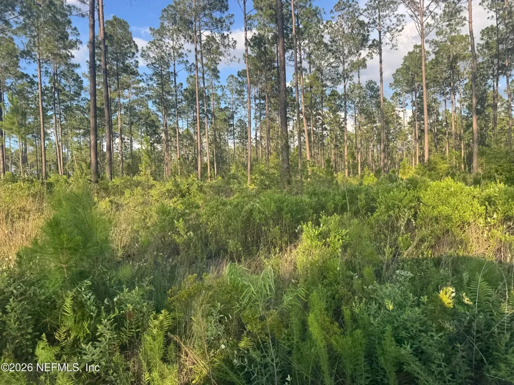 Tbd NW Co Road 235 Lake Butler FL 32054
