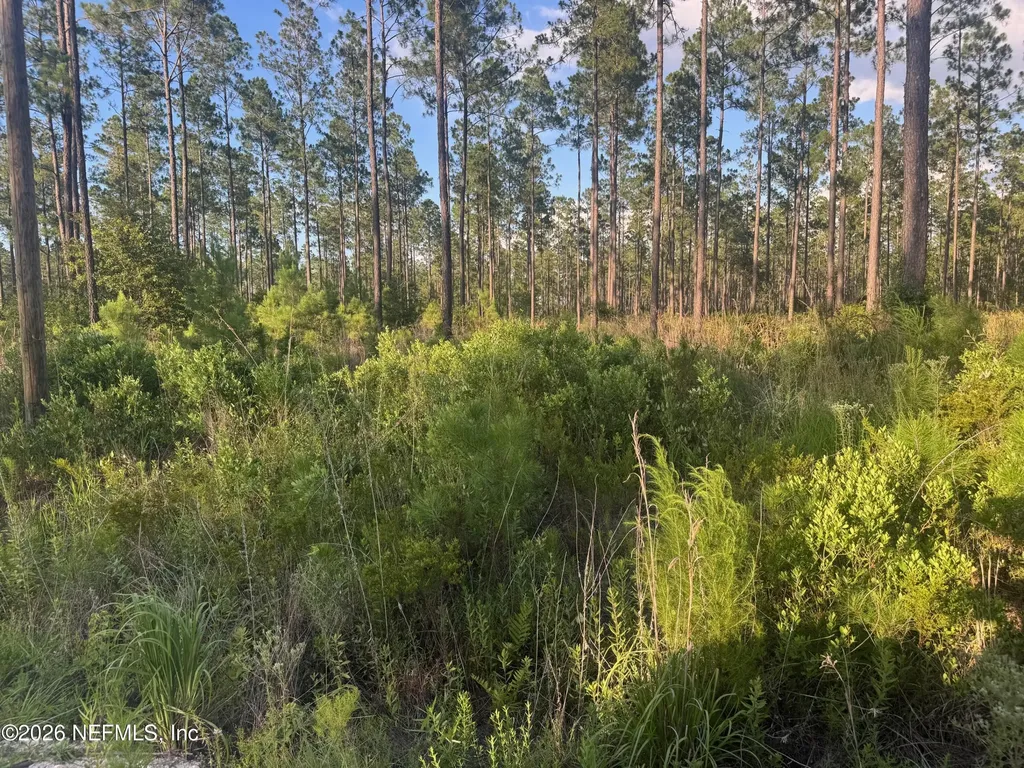 Tbd NW Co Road 235 Lake Butler FL 32054