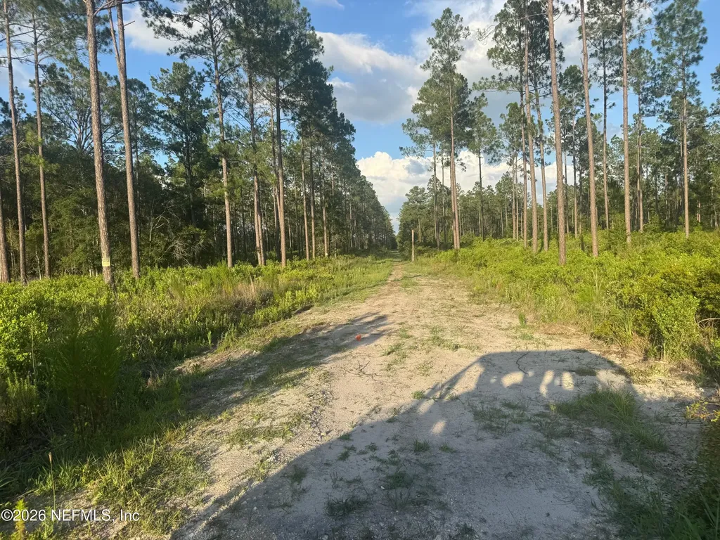 Tbd NW Co Road 235 Lake Butler FL 32054