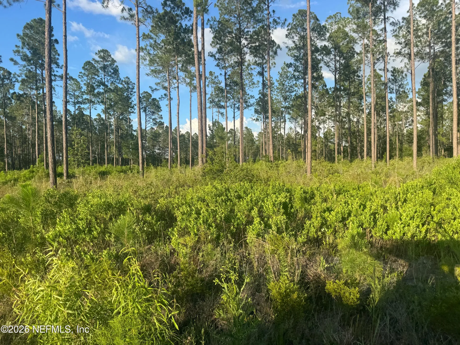 Tbd NW Co Road 235 Lake Butler FL 32054