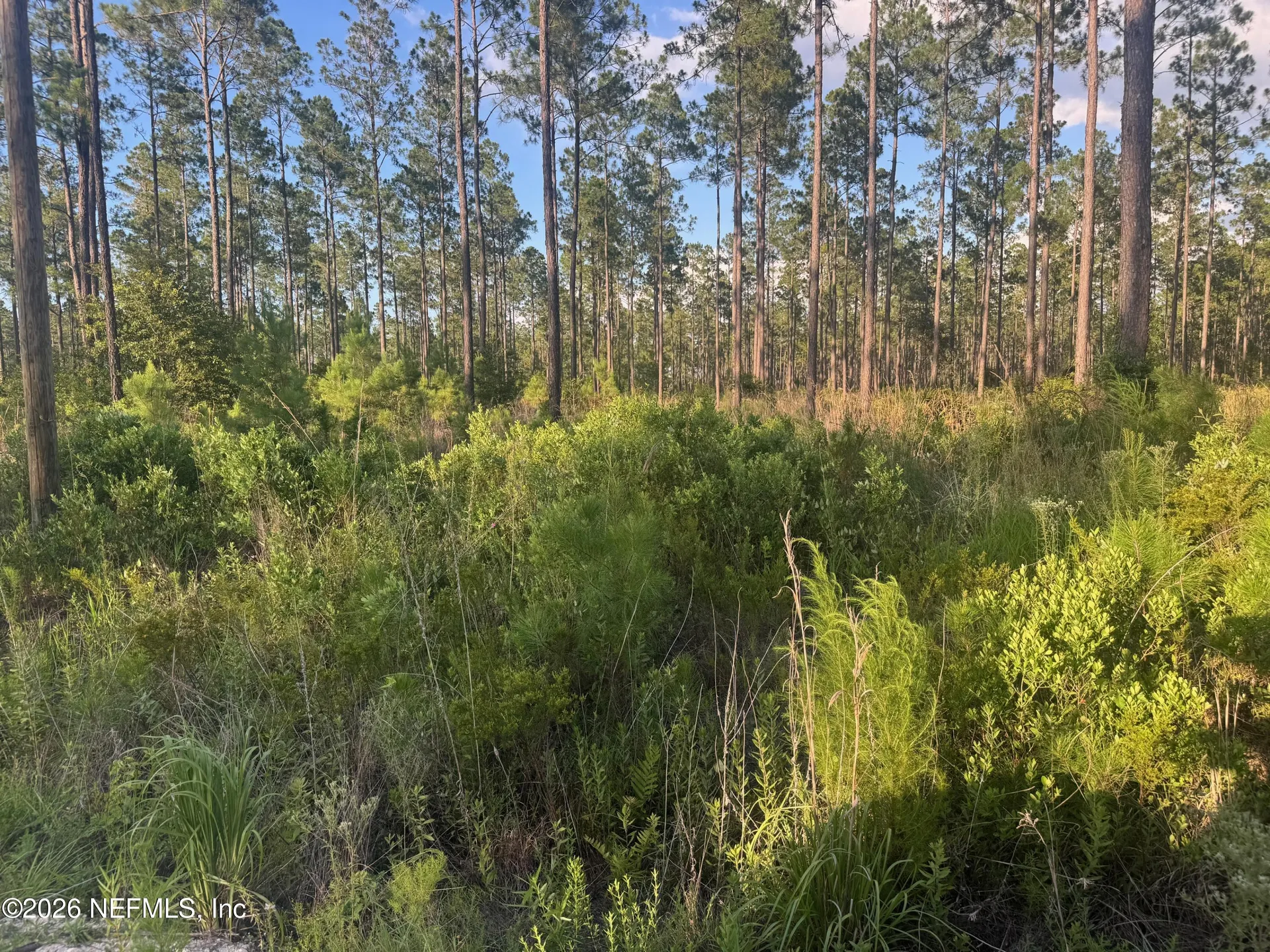 Tbd NW Co Road 235 Lake Butler FL 32054