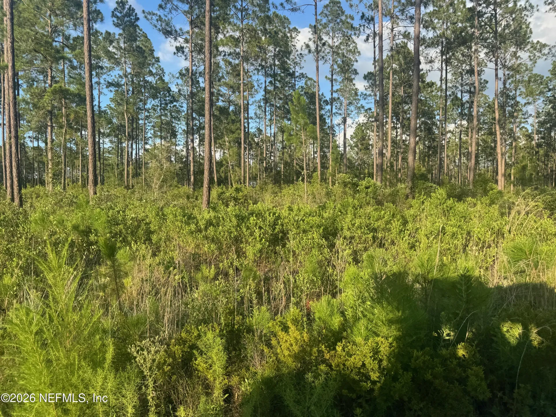Tbd NW Co Road 235 Lake Butler FL 32054