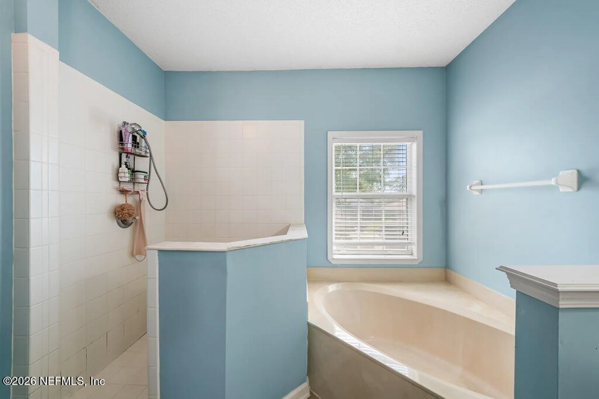 12529 Cliffrose Trail Jacksonville FL 32225