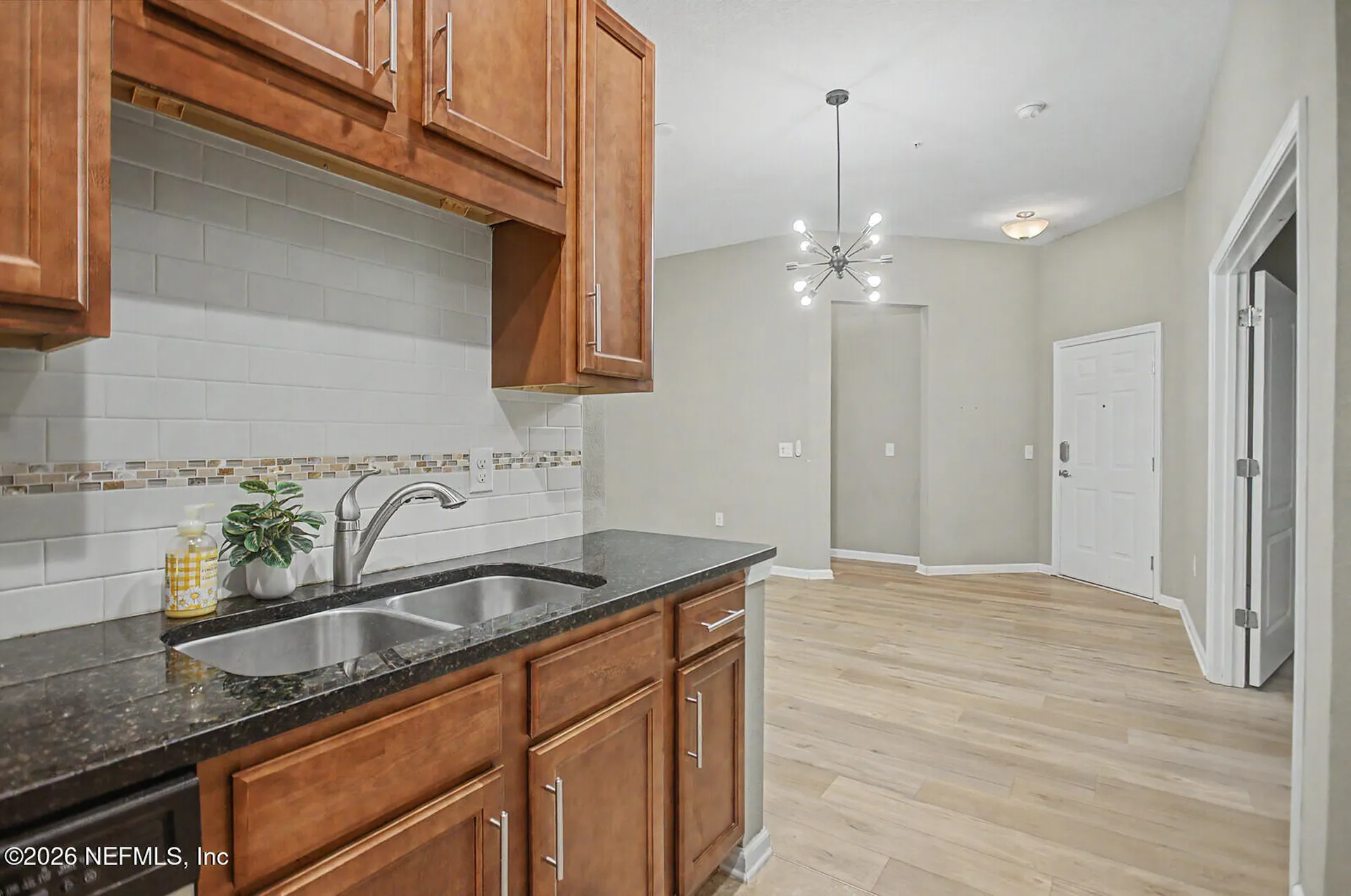 809 Golden Lake Loop St. Augustine FL 32084