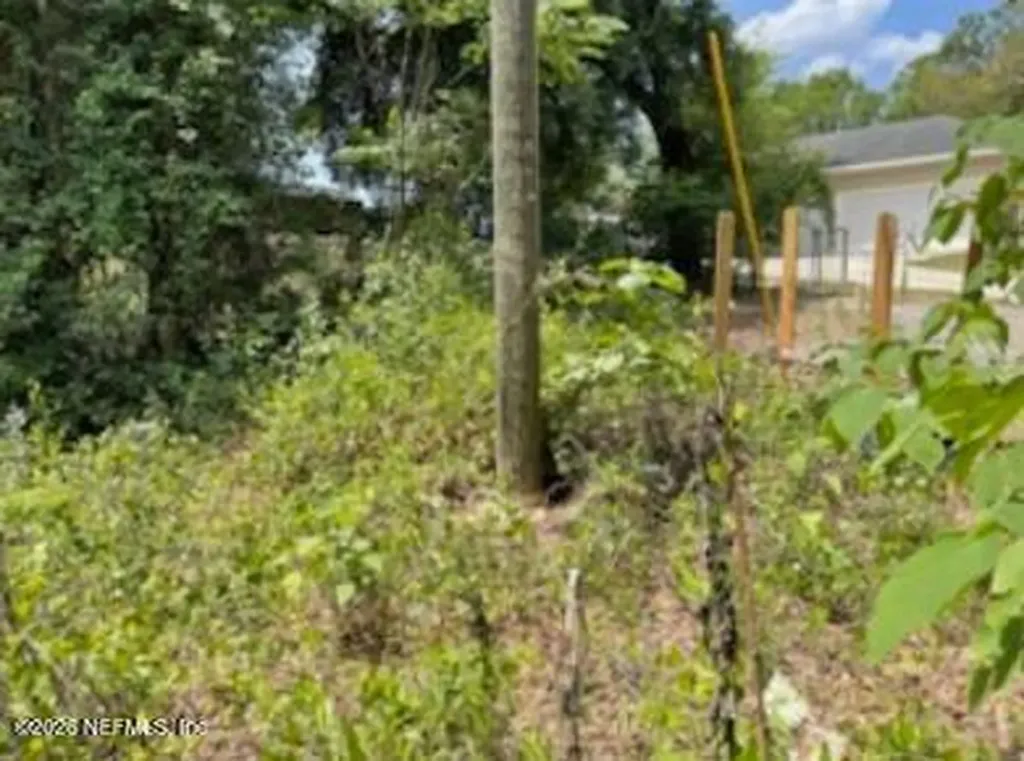 0 SE 46th Loop Keystone Heights FL 32656