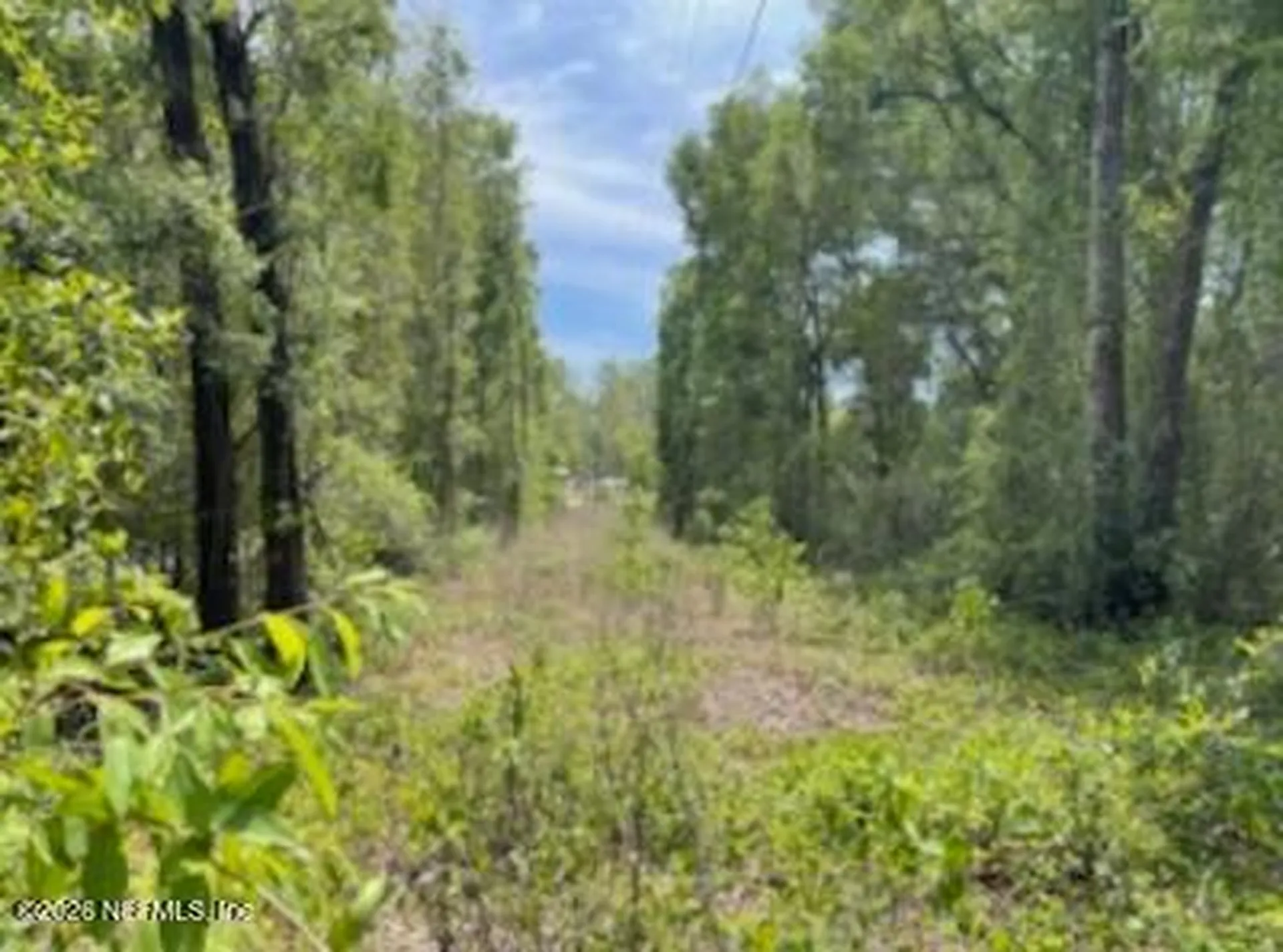 0 SE 46th Loop Keystone Heights FL 32656