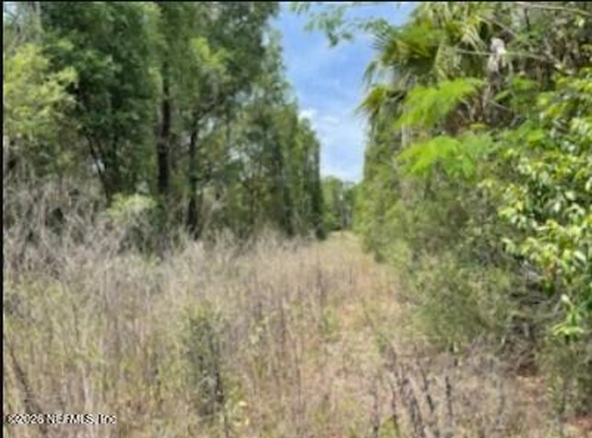 0 SE 46th Loop Keystone Heights FL 32656