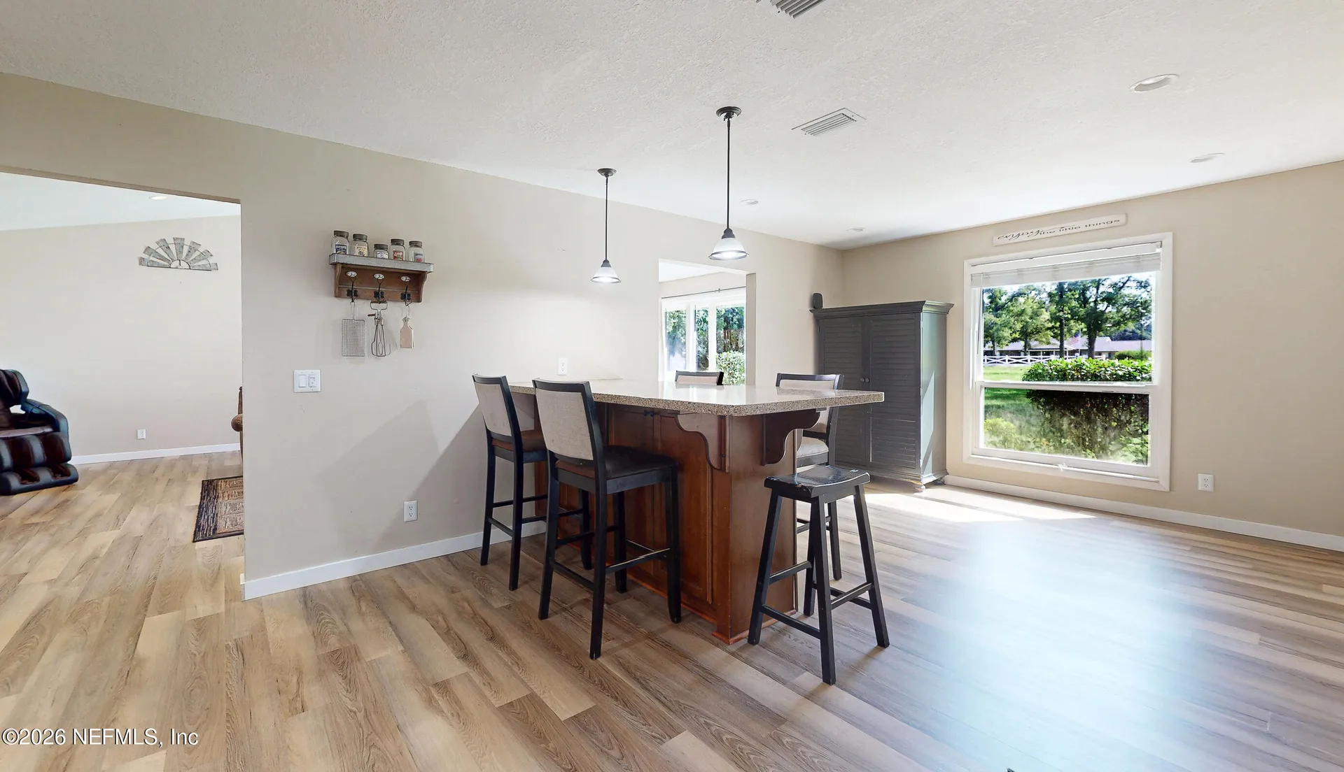 4201 Sidewinder Trail Middleburg FL 32068