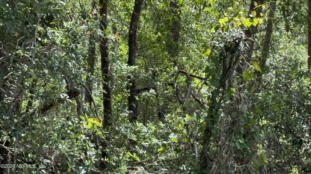 960 State Road 100 Florahome FL 32140