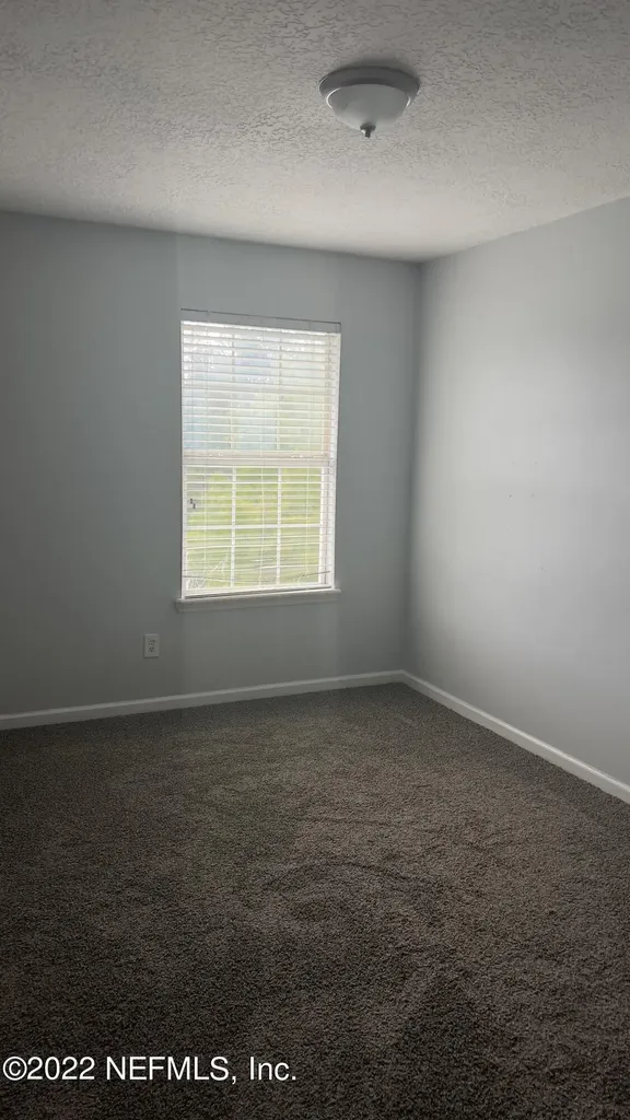 3945 Buckthorne Drive Orange Park FL 32065
