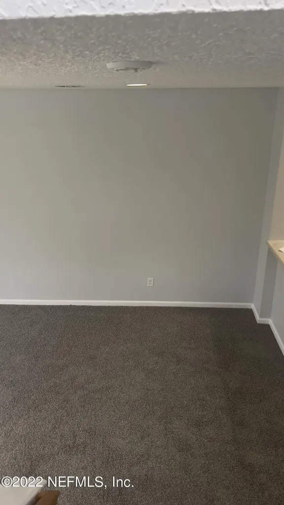 3945 Buckthorne Drive Orange Park FL 32065