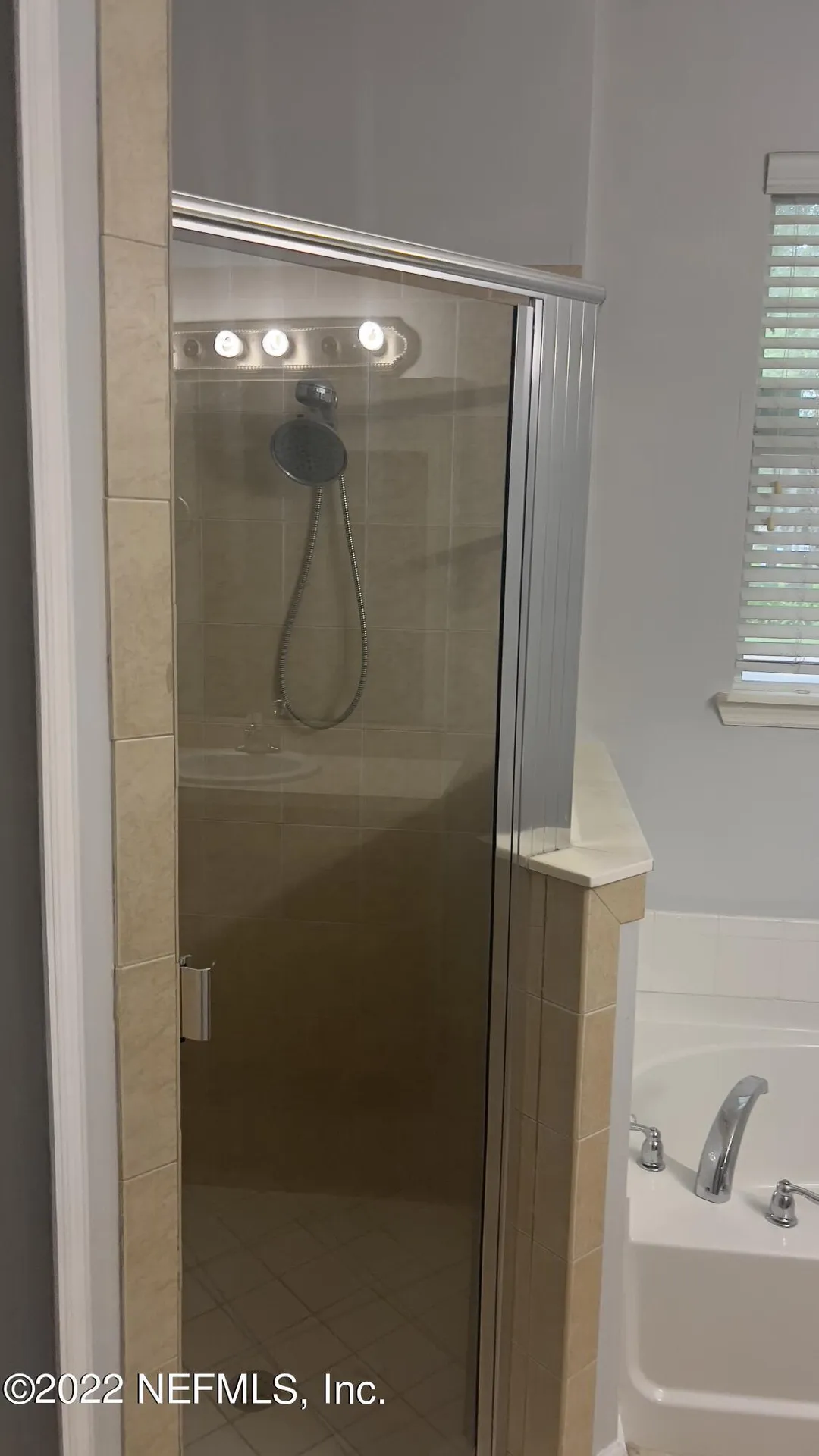 3945 Buckthorne Drive Orange Park FL 32065