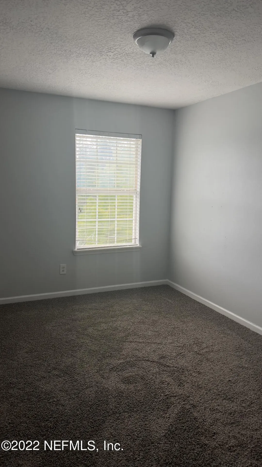 3945 Buckthorne Drive Orange Park FL 32065