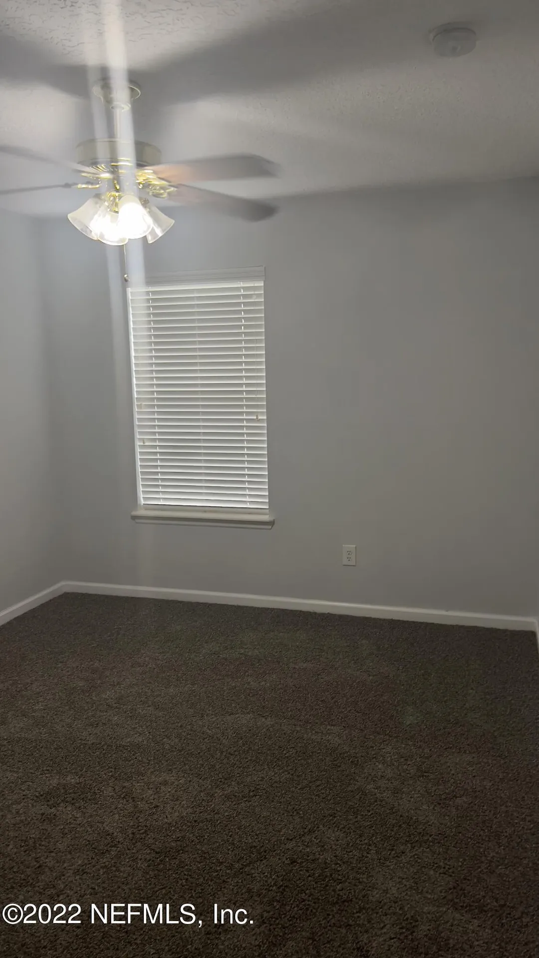 3945 Buckthorne Drive Orange Park FL 32065