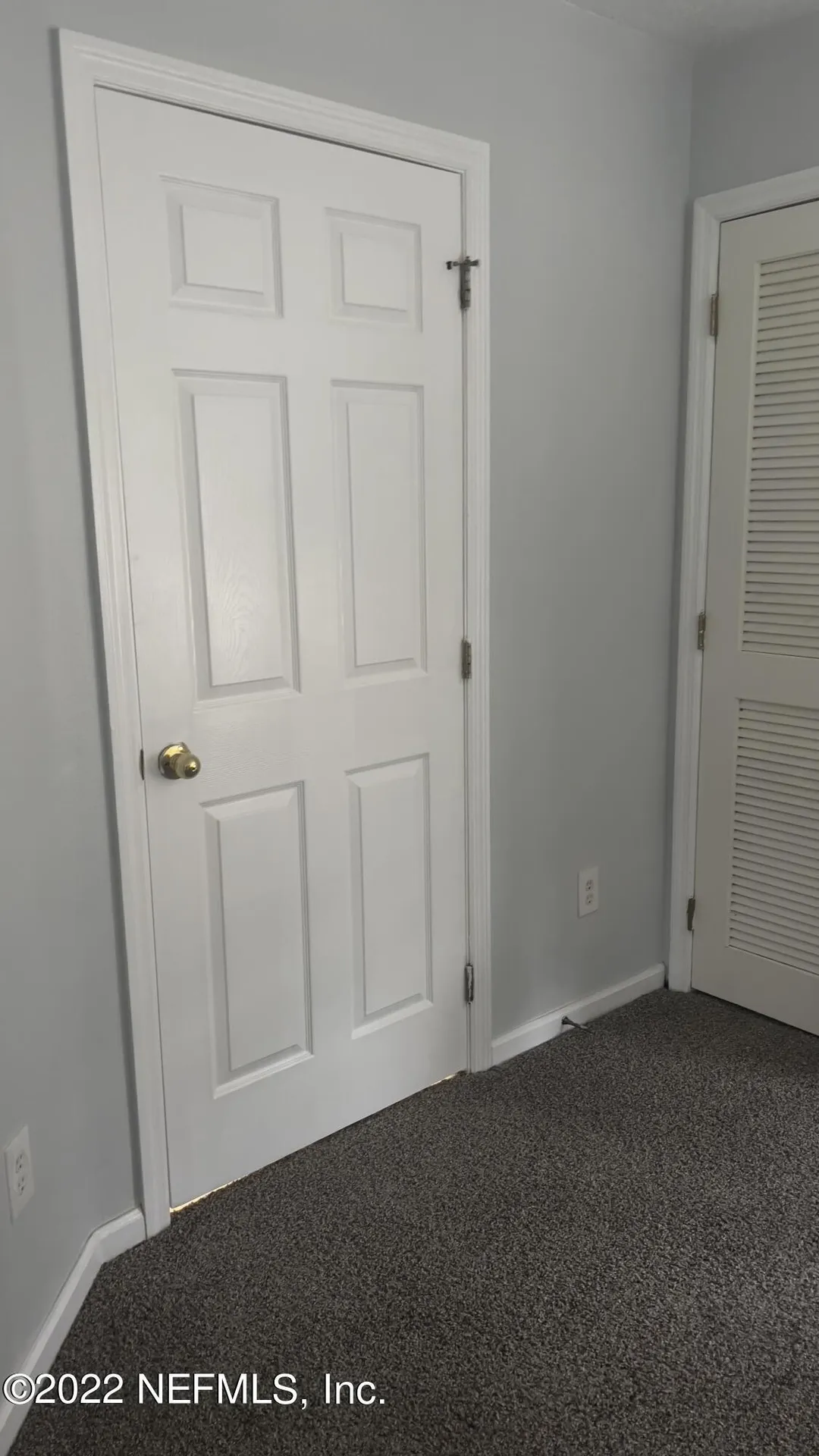 3945 Buckthorne Drive Orange Park FL 32065