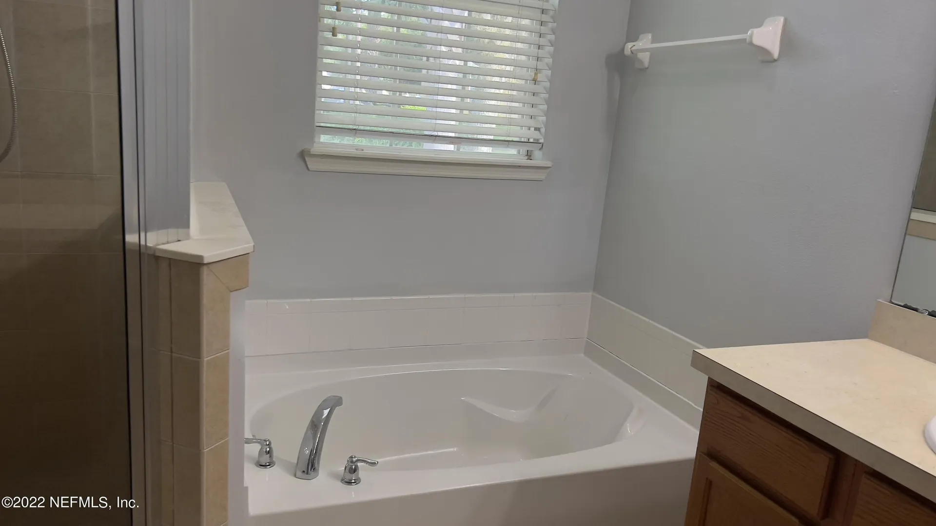 3945 Buckthorne Drive Orange Park FL 32065