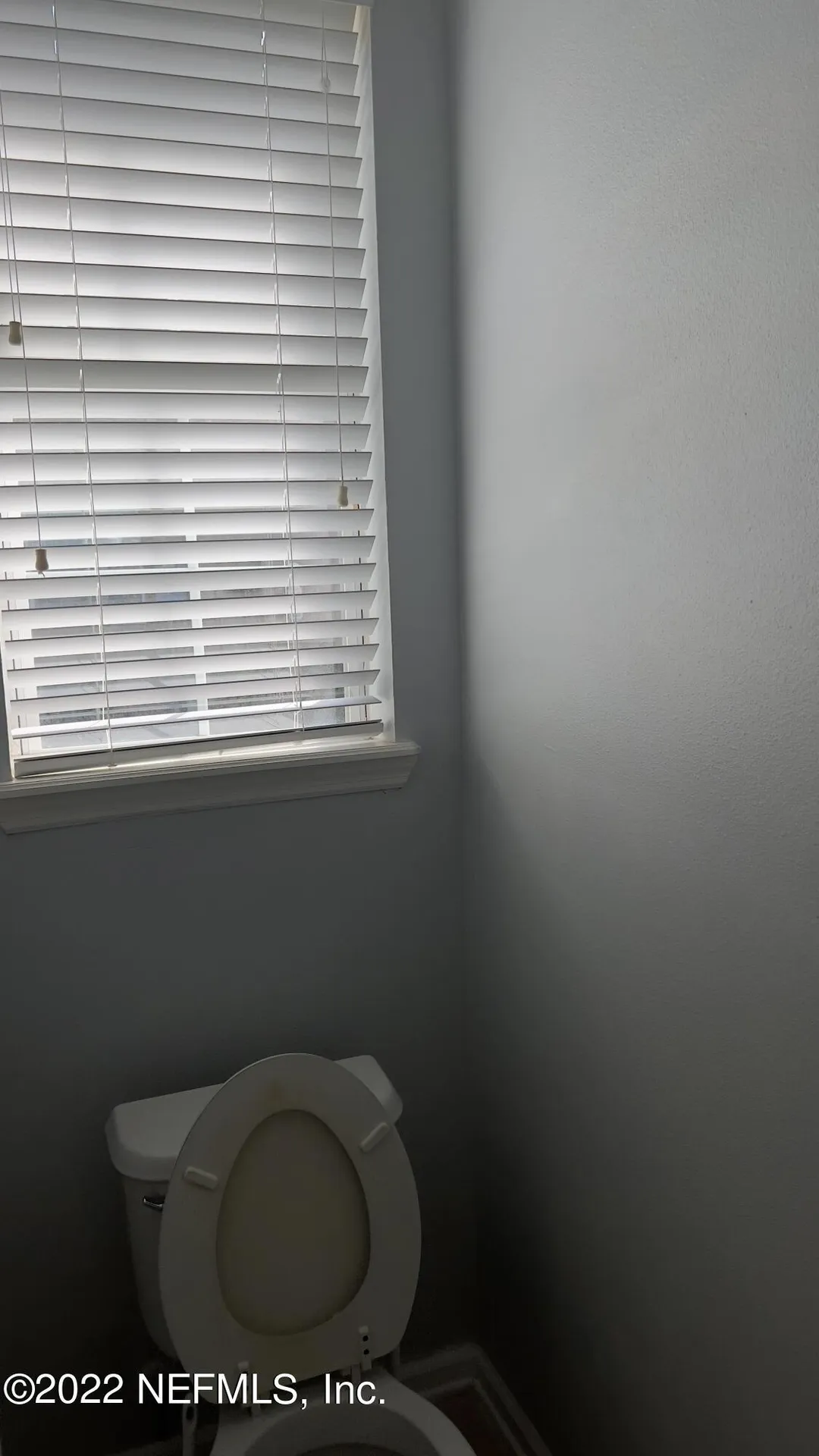 3945 Buckthorne Drive Orange Park FL 32065