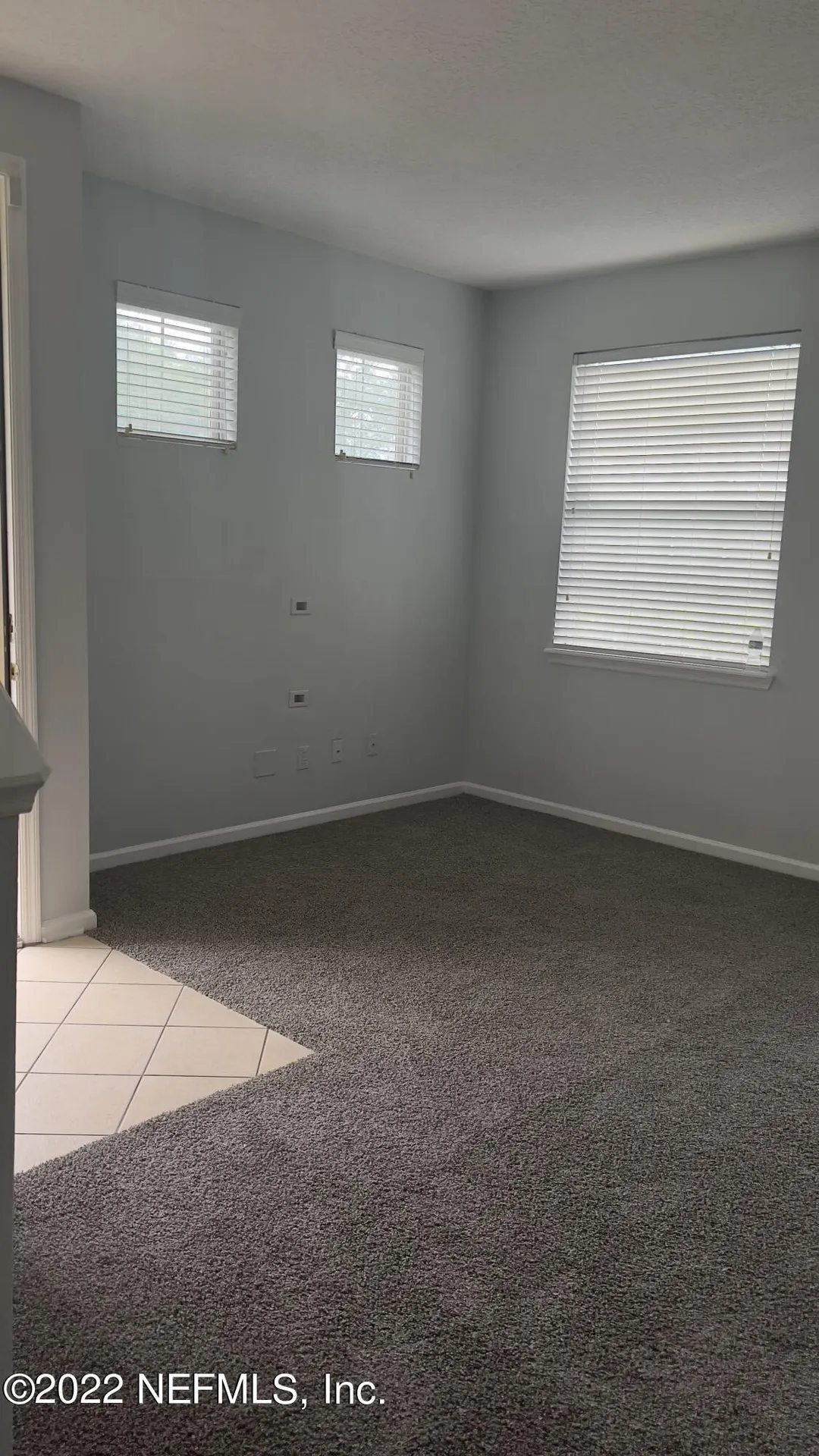3945 Buckthorne Drive Orange Park FL 32065