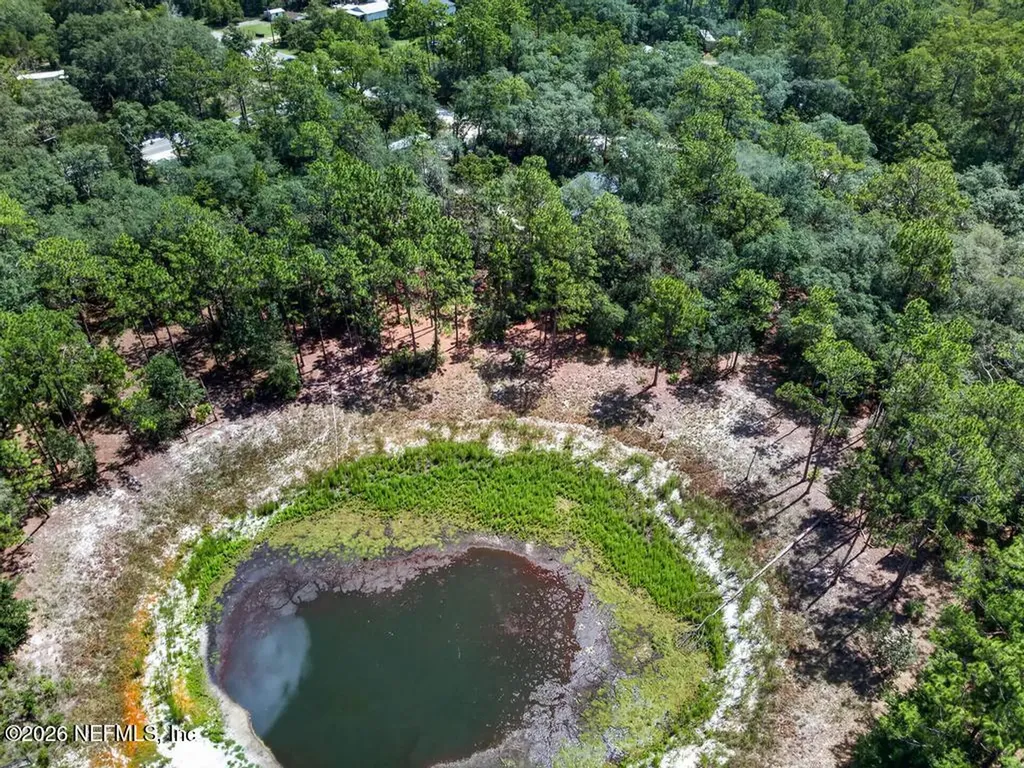 101 Pond Circle Interlachen FL 32148