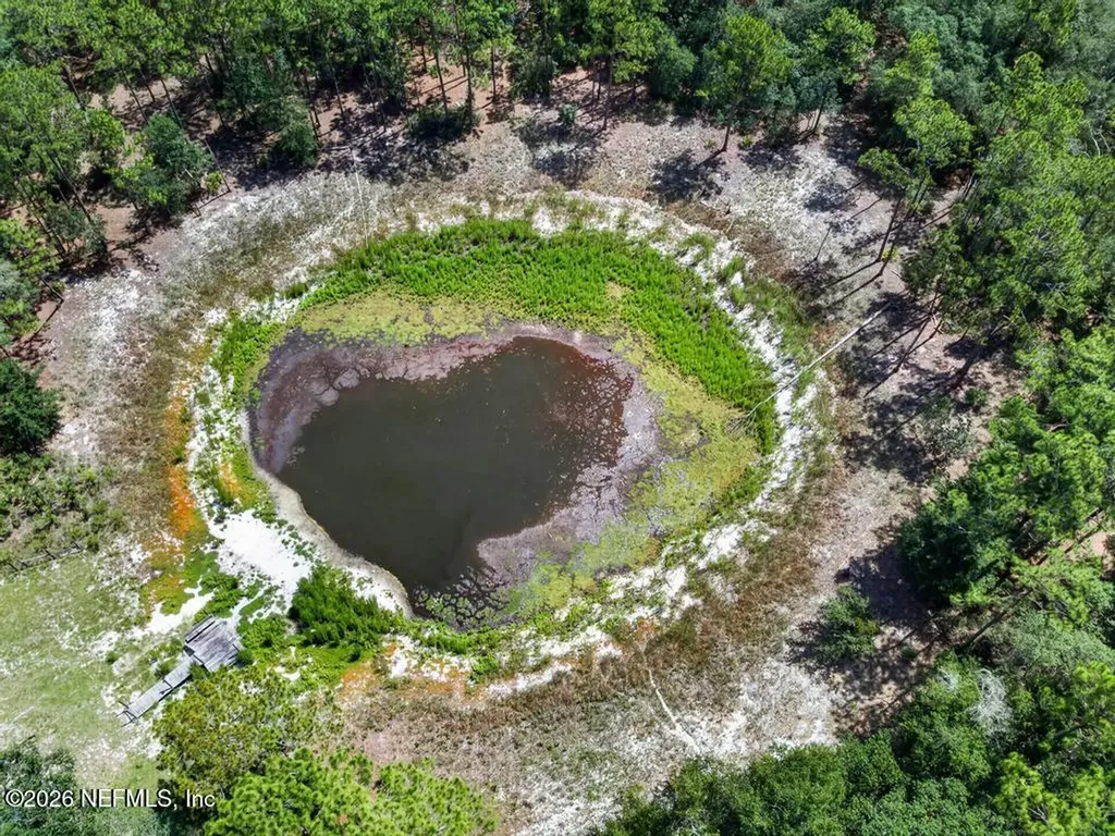 101 Pond Circle Interlachen FL 32148
