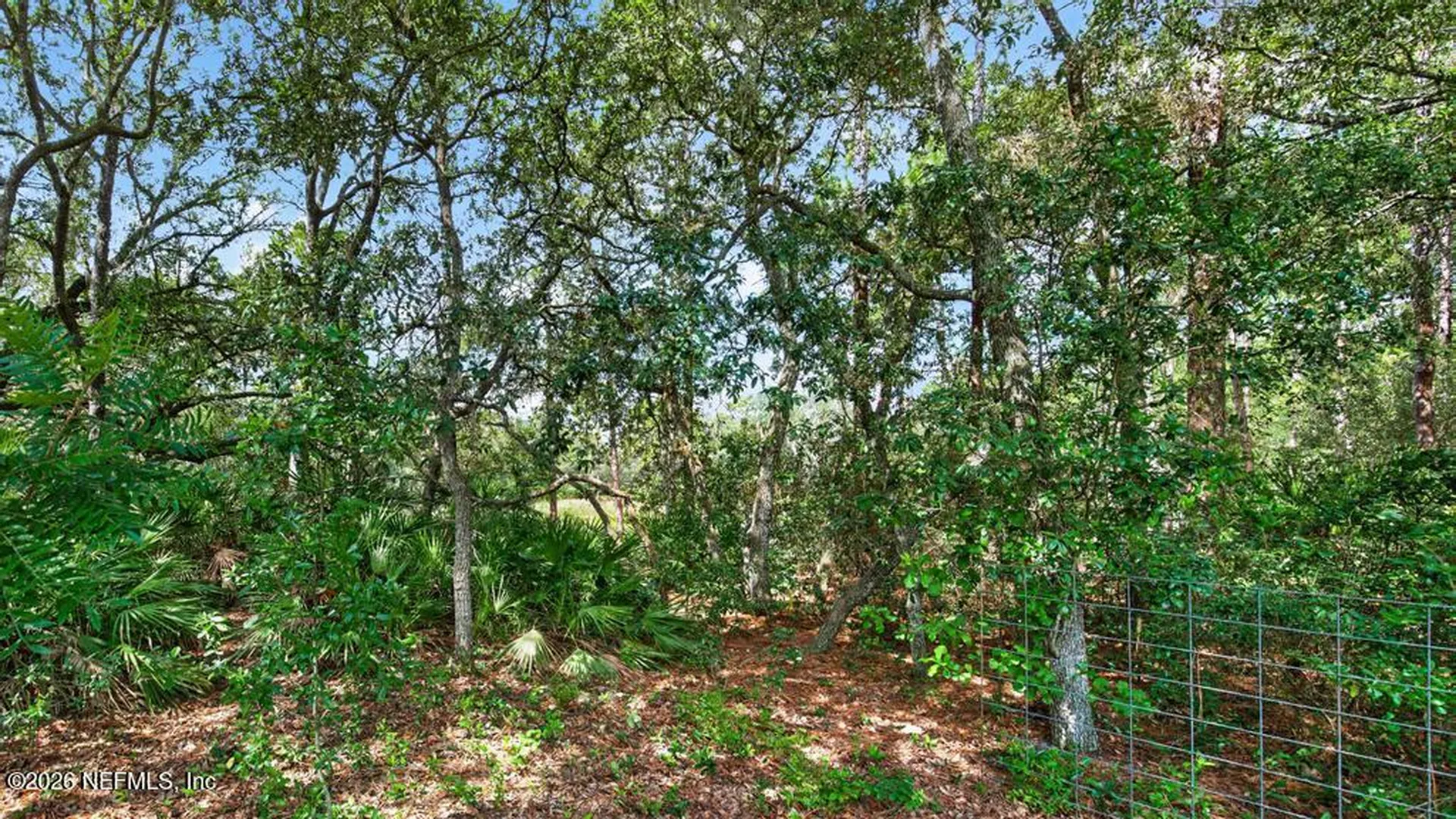 101 Pond Circle Interlachen FL 32148
