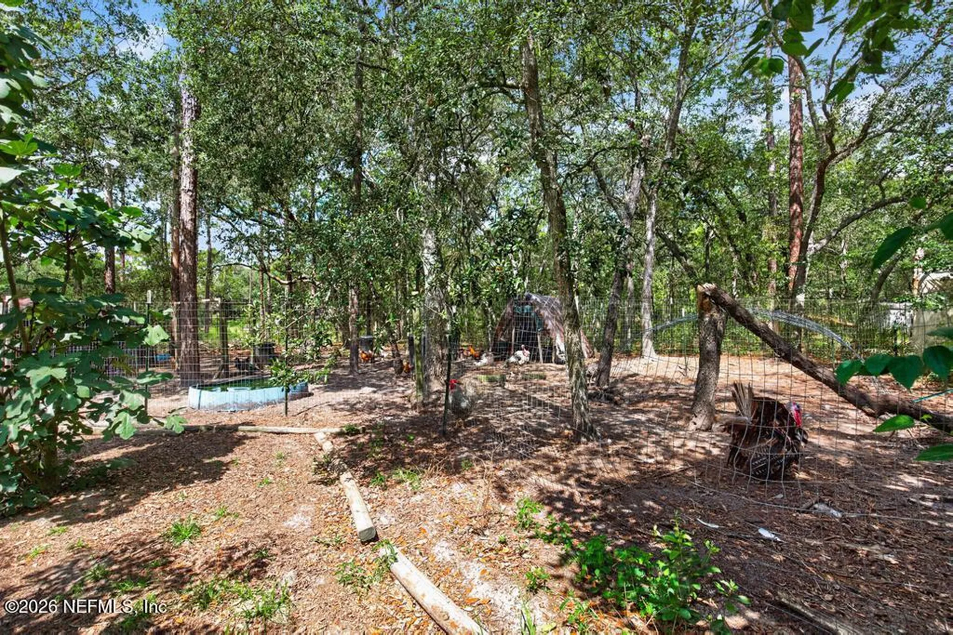 101 Pond Circle Interlachen FL 32148
