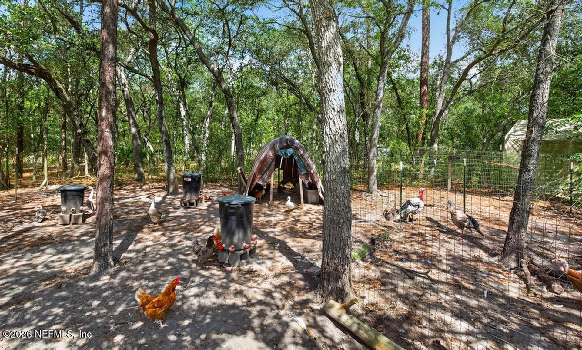 101 Pond Circle Interlachen FL 32148