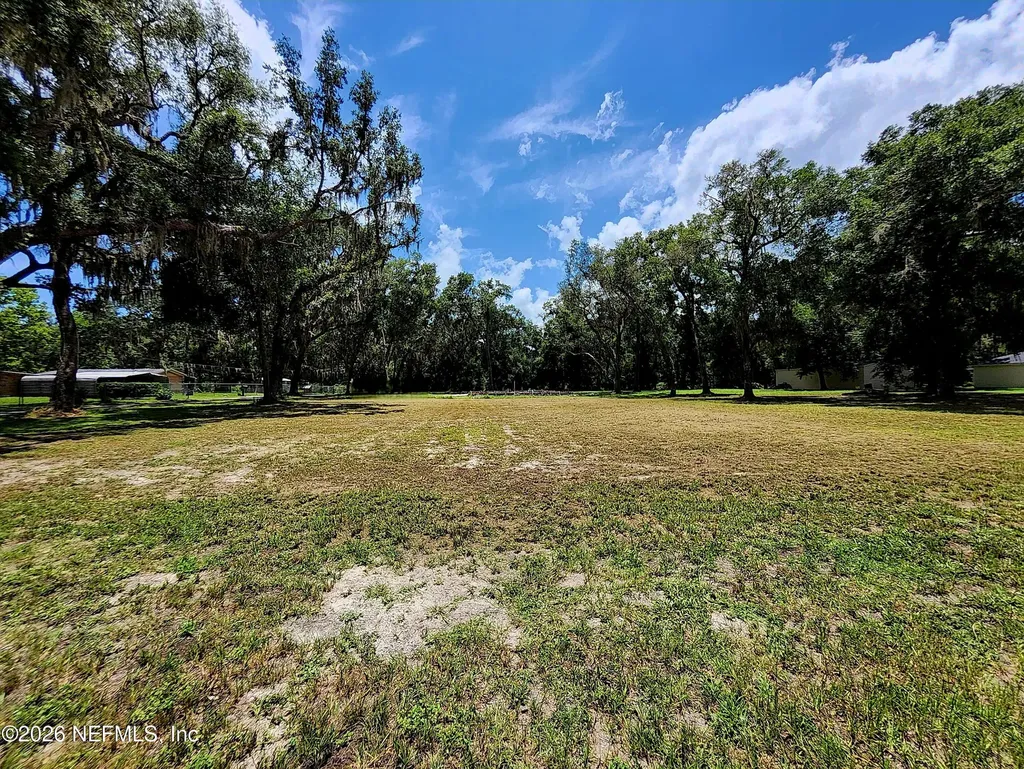 00 Greenwood Avenue Welaka FL 32193