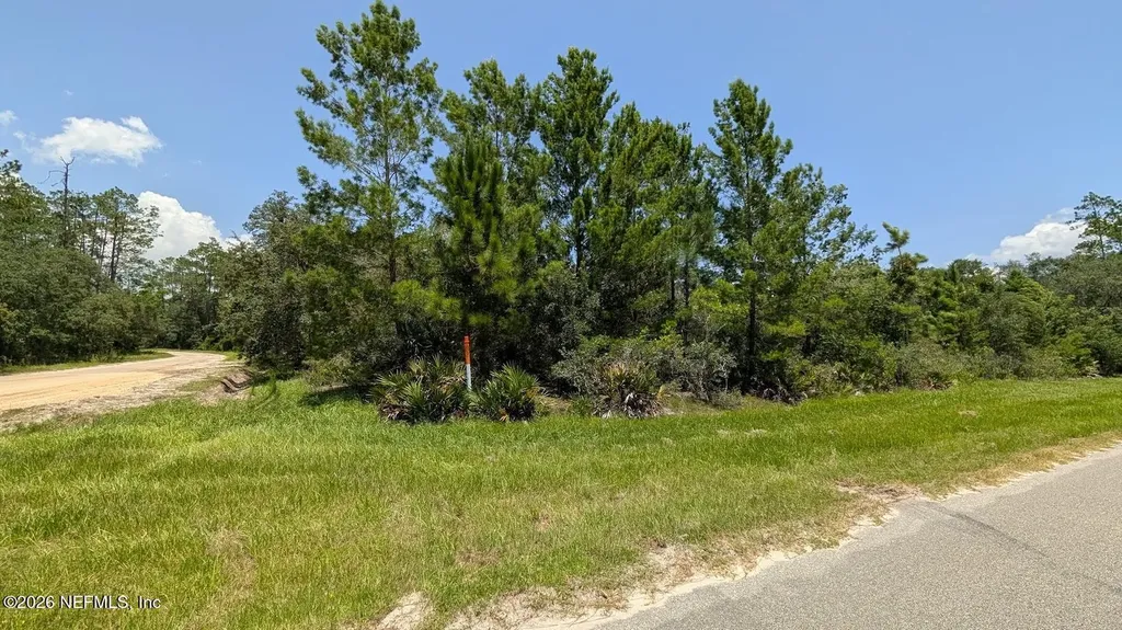 201 Whispering Pines Road Georgetown FL 32139