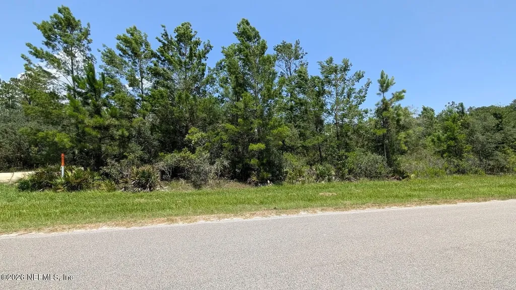 201 Whispering Pines Road Georgetown FL 32139