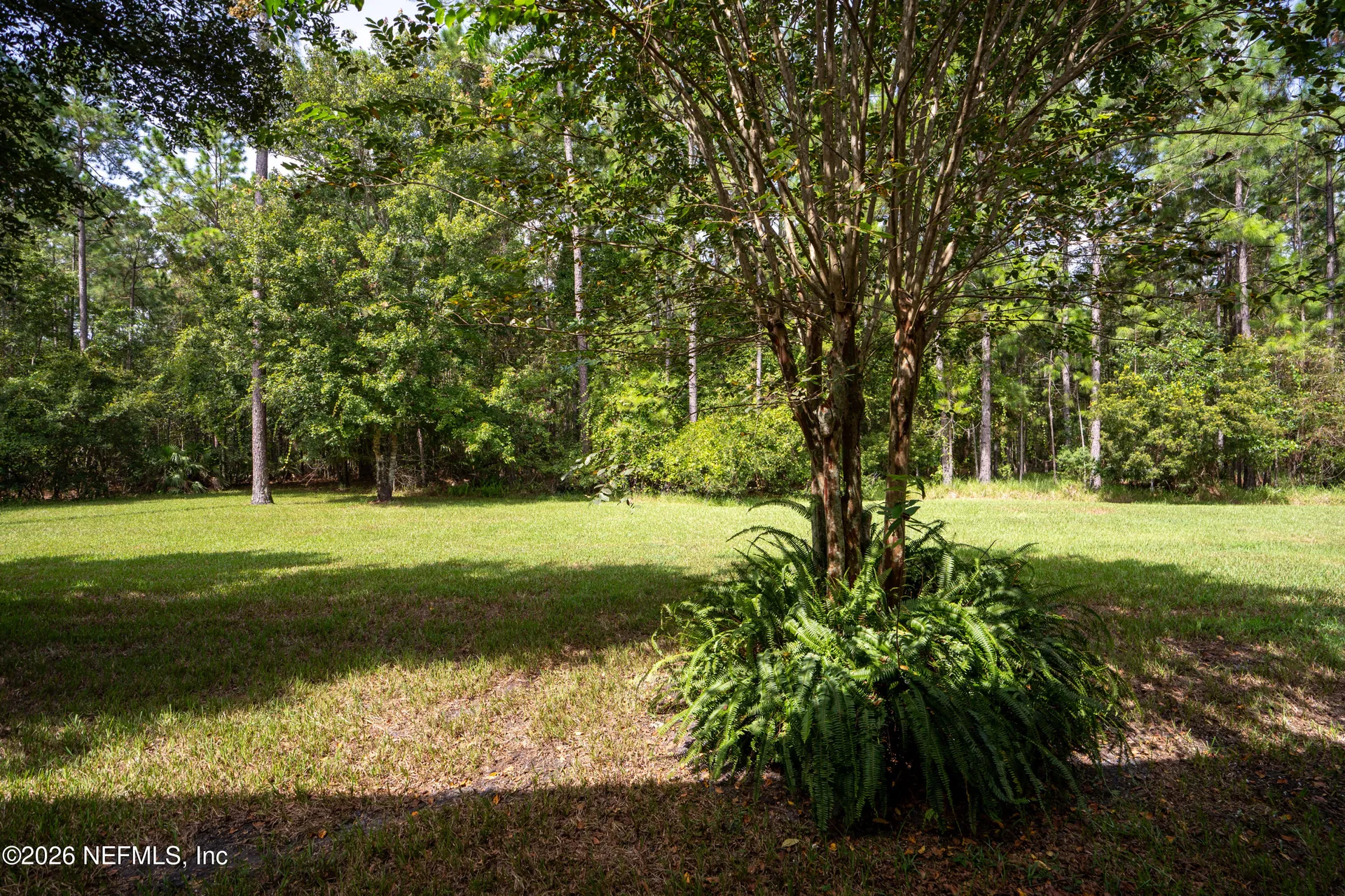 313 Scrub Jay Drive St. Augustine FL 32092