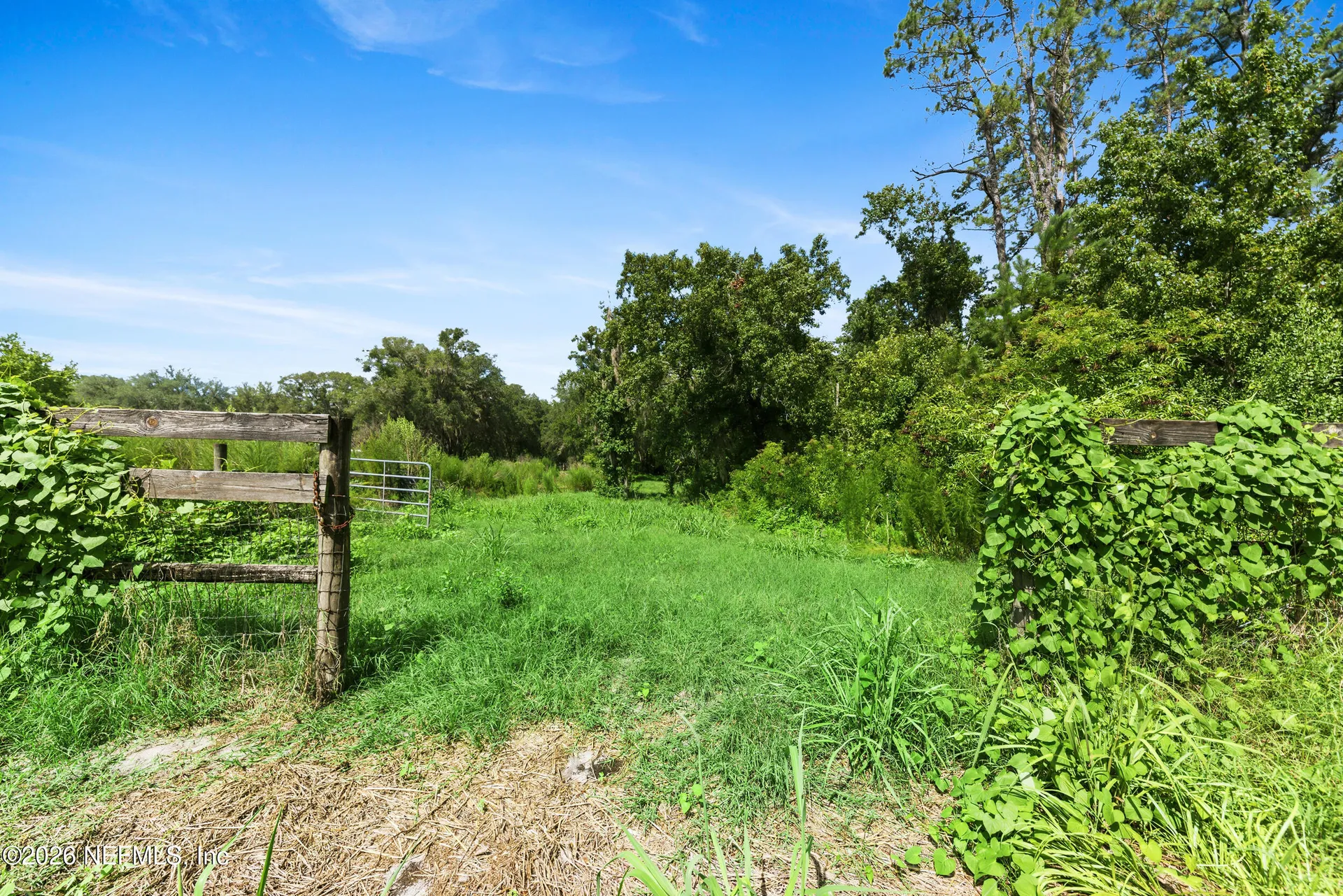 3095 Goose Creek Lane Green Cove Springs FL 32043