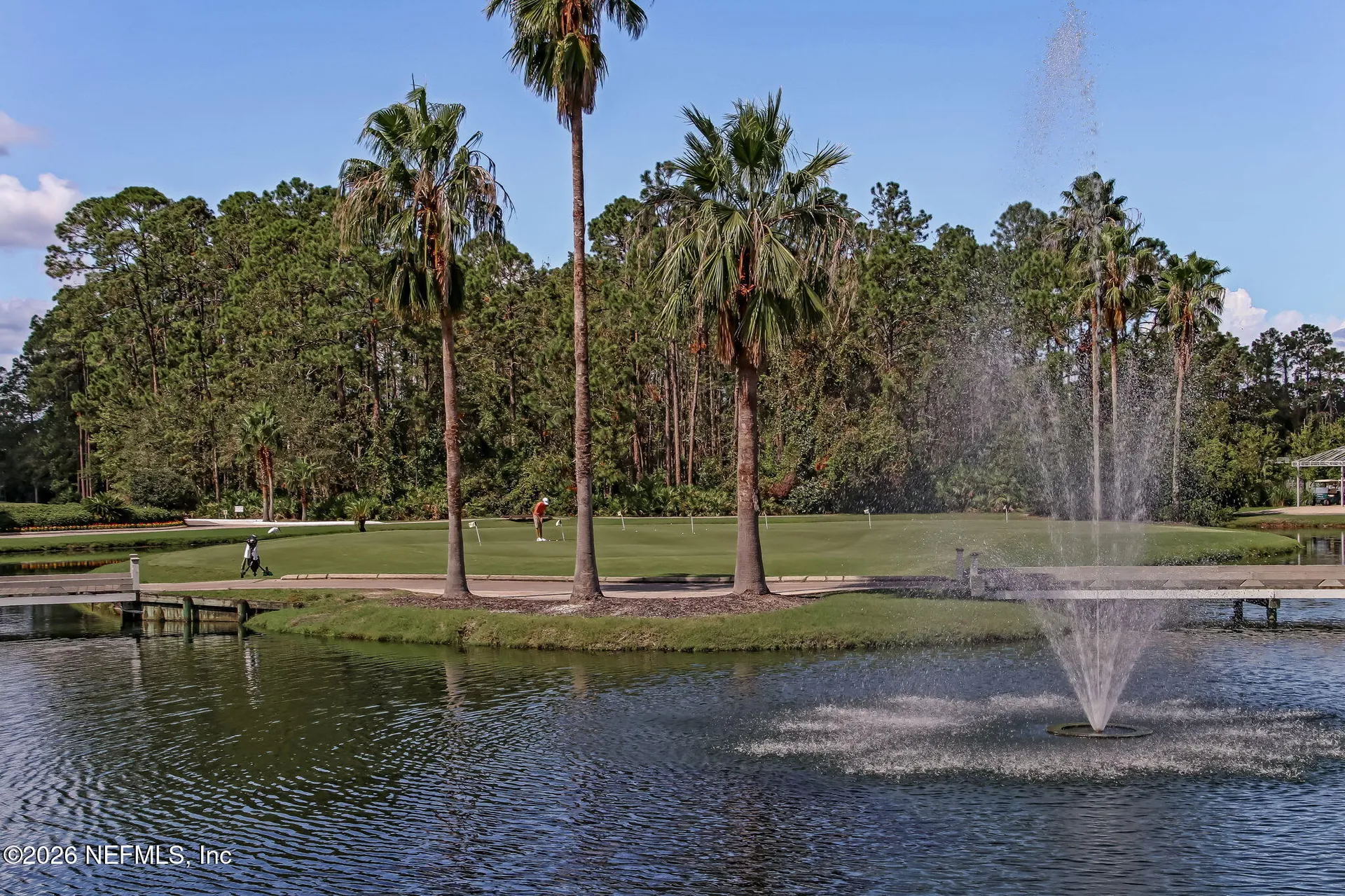 2036 Arden Forest Place Fleming Island FL 32003