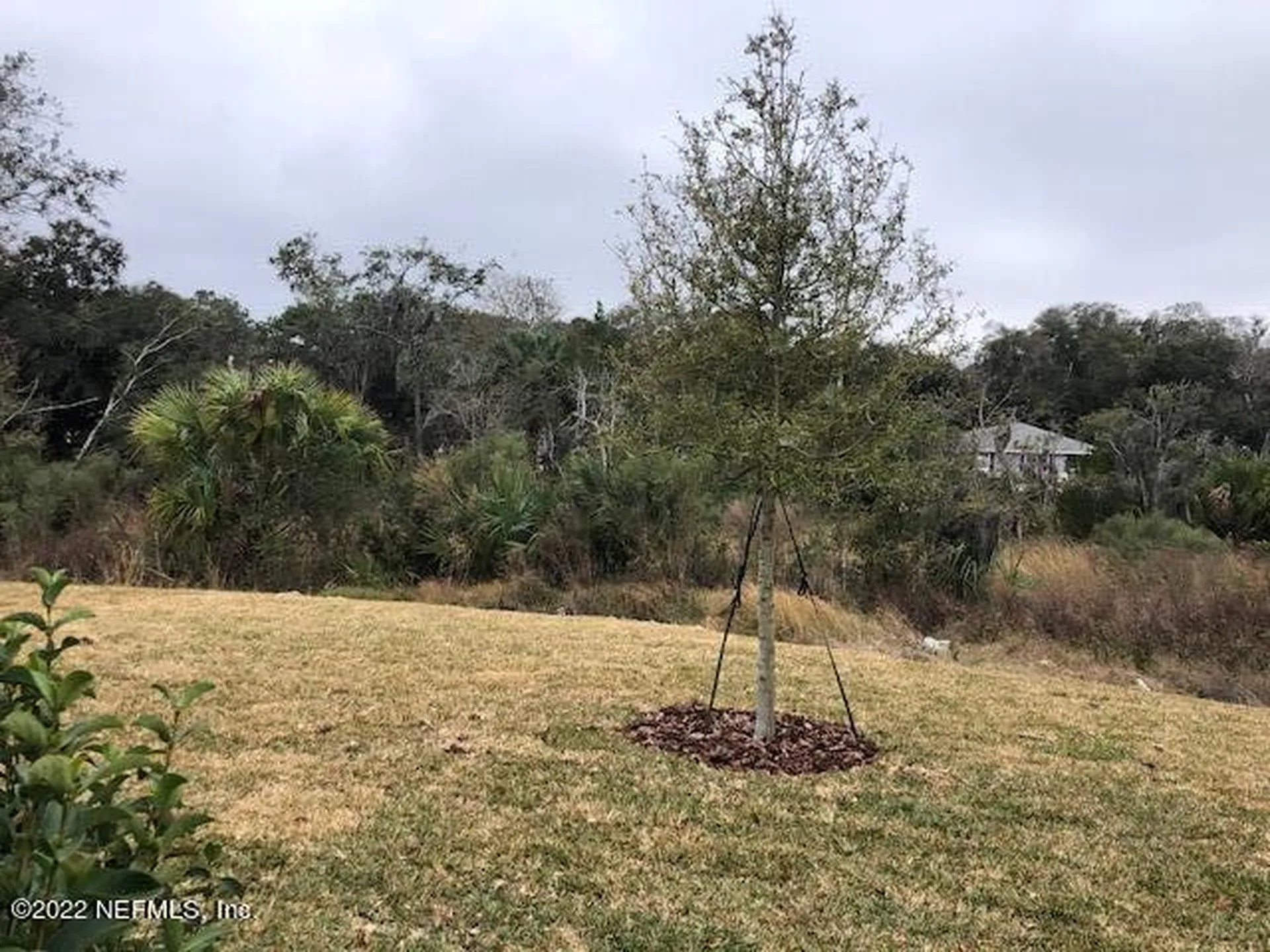 1213 Beach Dune Drive Jacksonville FL 32233