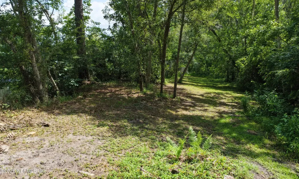 3860 Magnolia Street Middleburg FL 32068