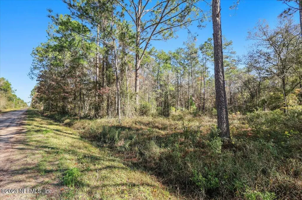 10690 Gregory Avenue Hastings FL 32145