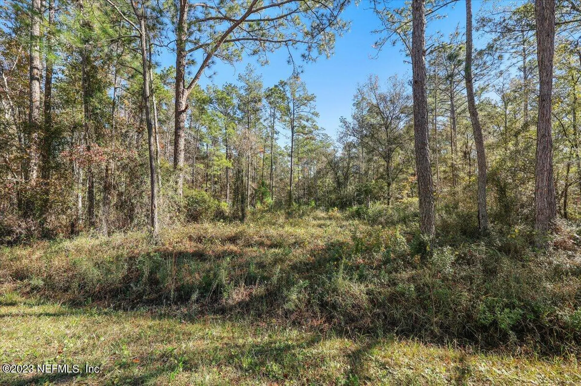 10690 Gregory Avenue Hastings FL 32145