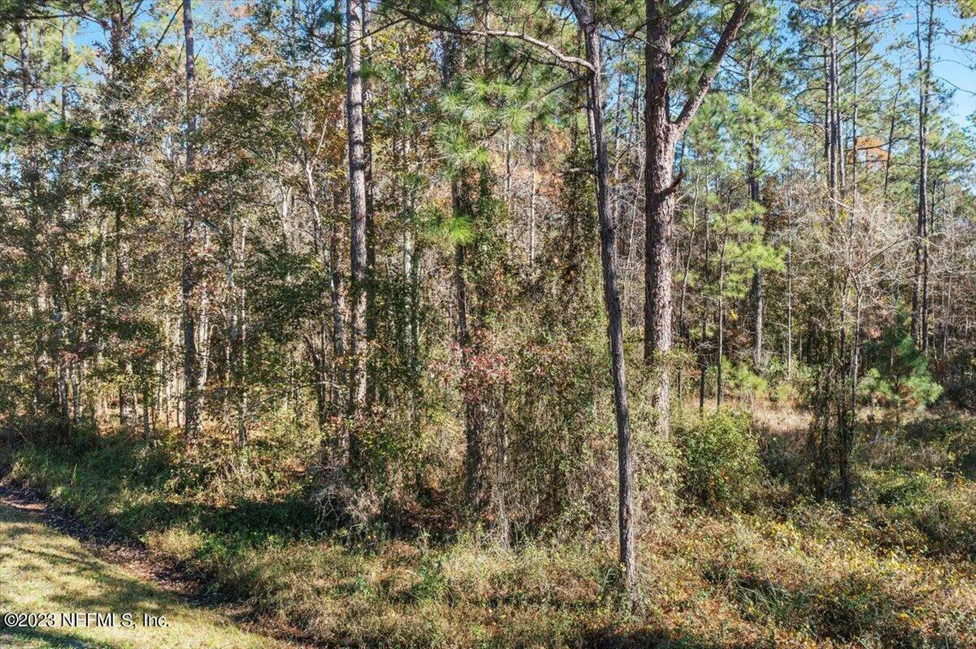 10690 Gregory Avenue Hastings FL 32145