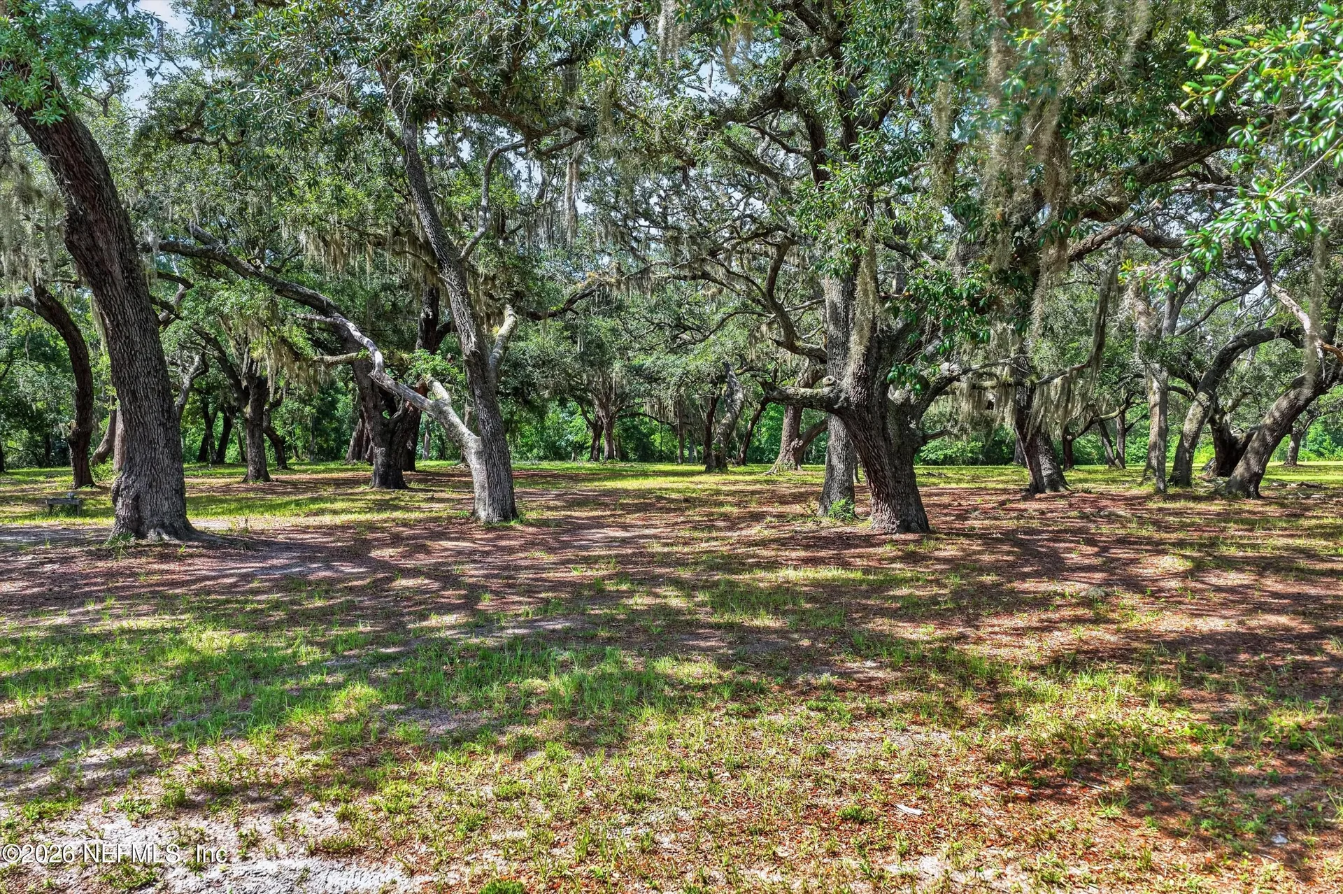 785 Back Creek Drive St. Augustine FL 32092