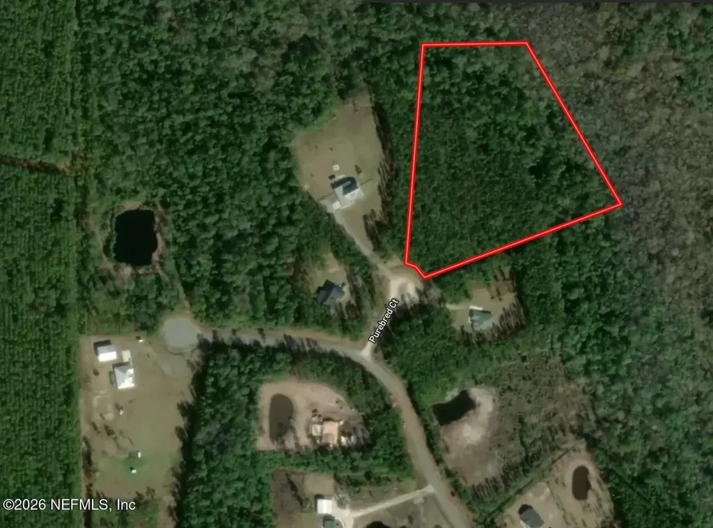 36014 Purebread Court Callahan FL 32011