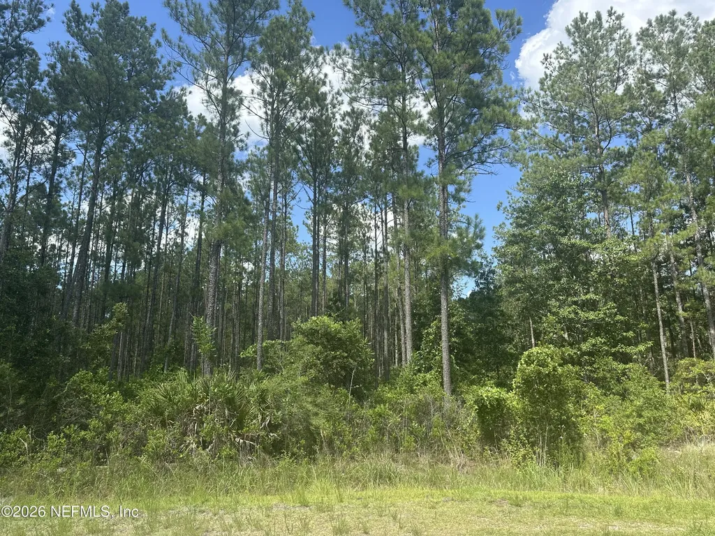 36014 Purebread Court Callahan FL 32011