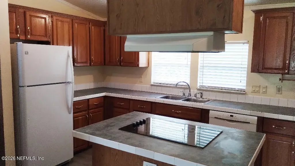 2233 Indigo Avenue Middleburg FL 32068