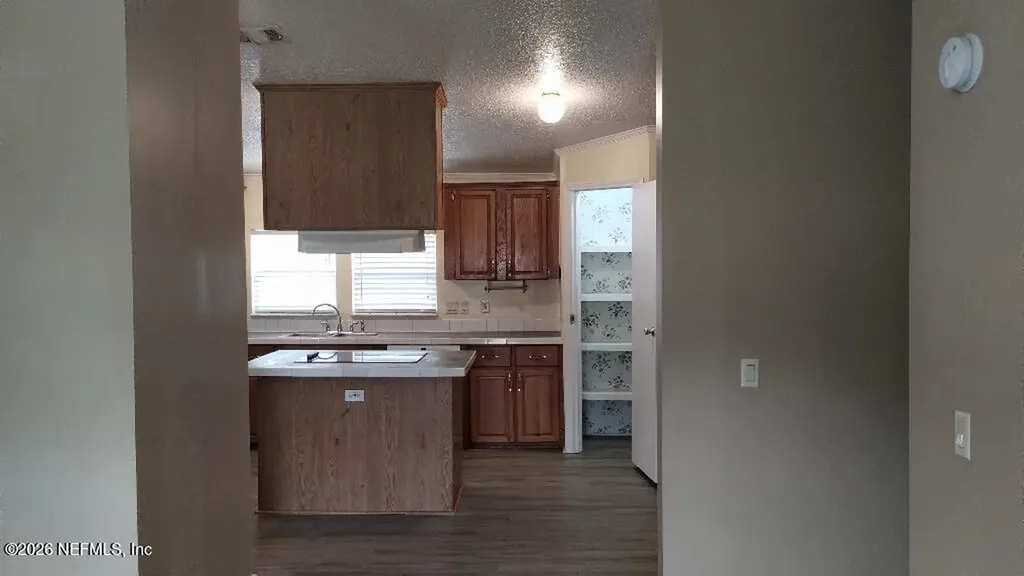 2233 Indigo Avenue Middleburg FL 32068