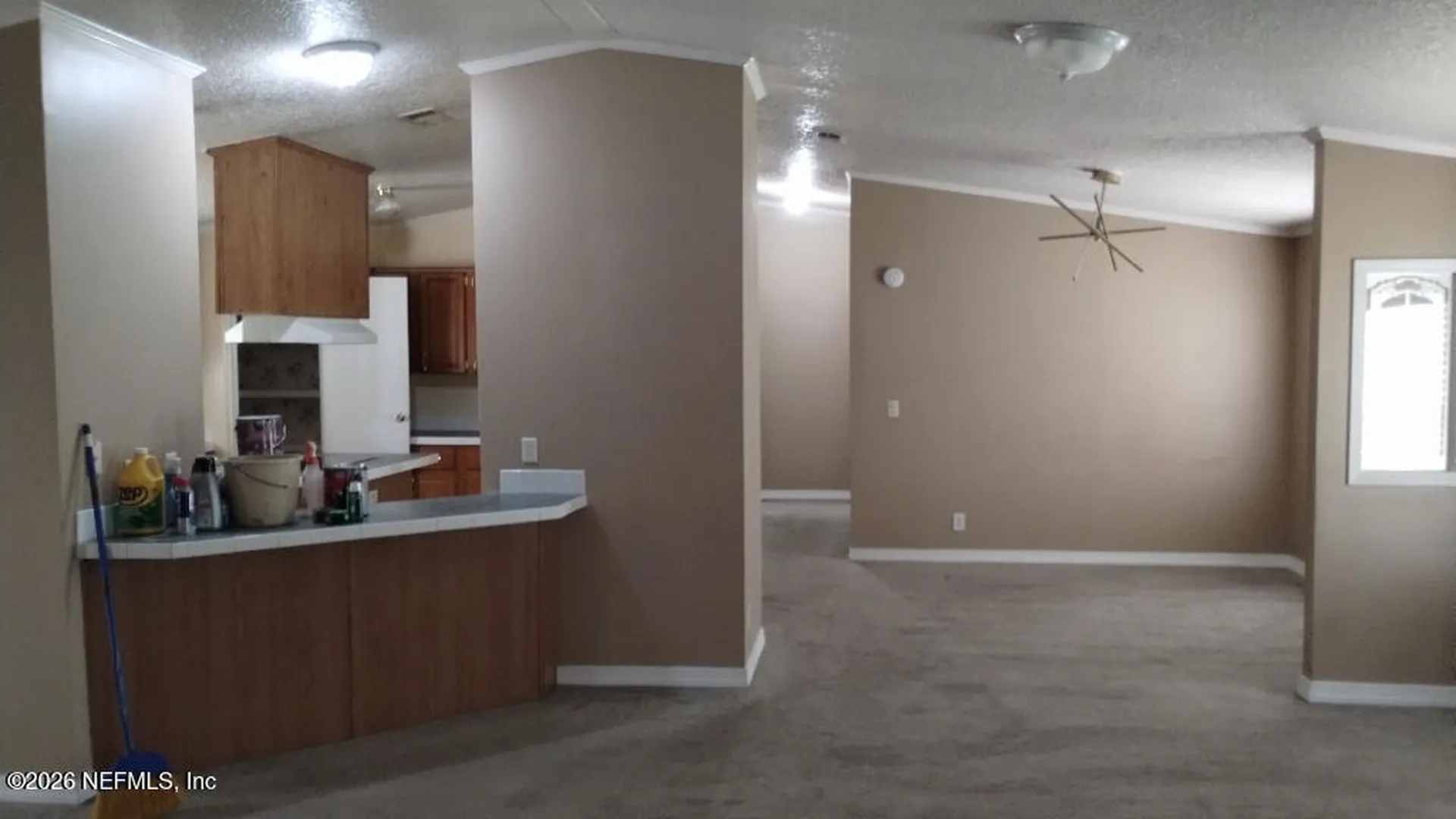 2233 Indigo Avenue Middleburg FL 32068