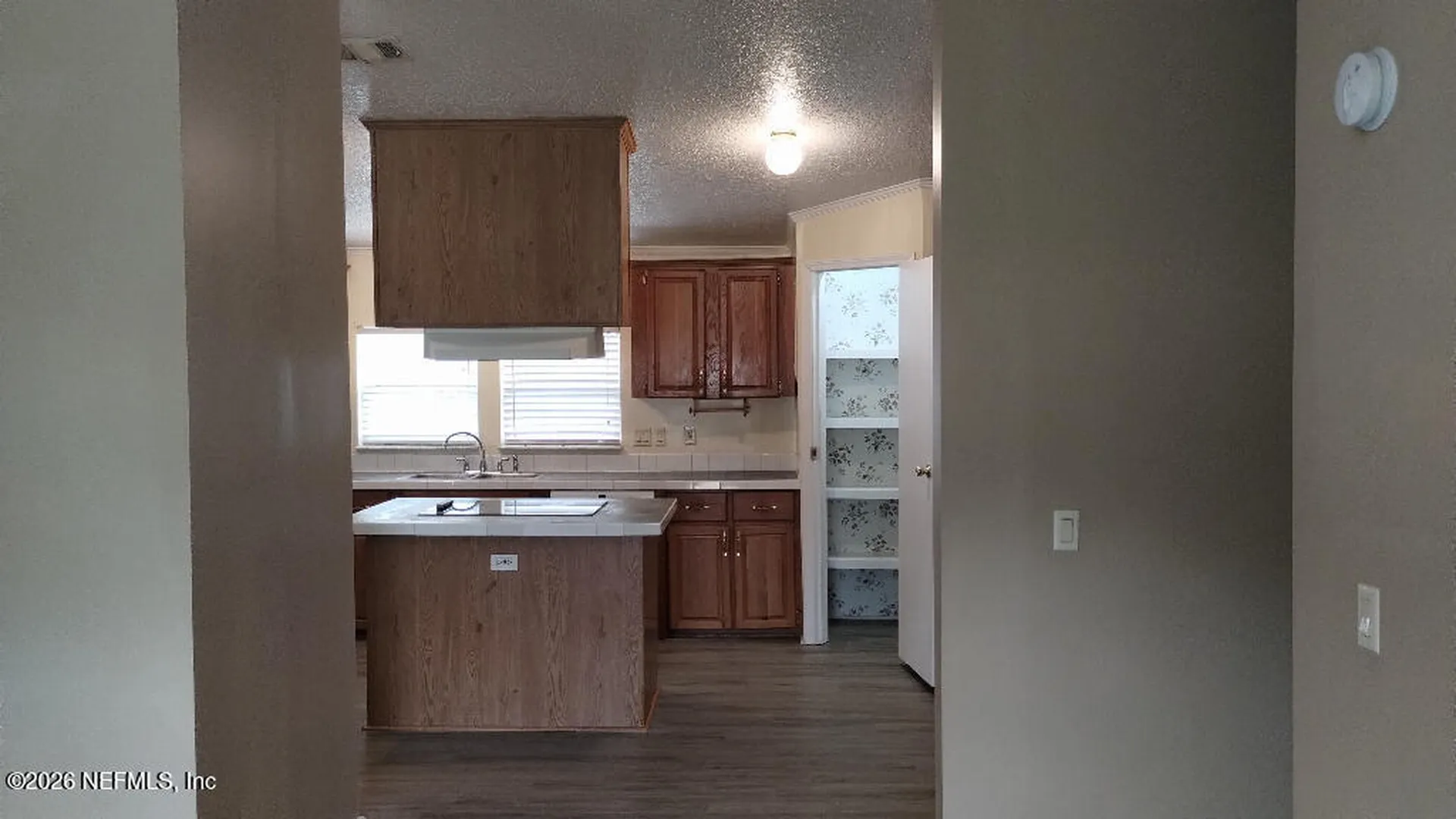 2233 Indigo Avenue Middleburg FL 32068