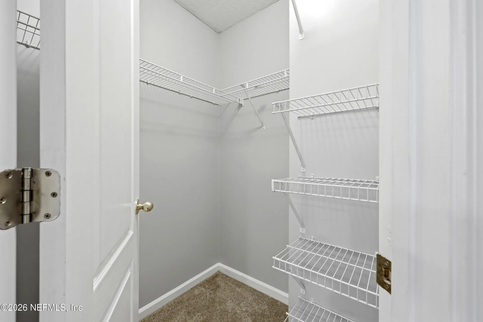 2176 Ginhouse Drive Middleburg FL 32068