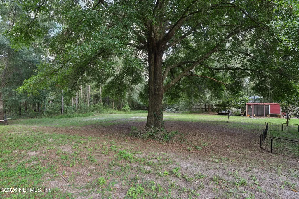 2545 Sorghum Avenue Middleburg FL 32068
