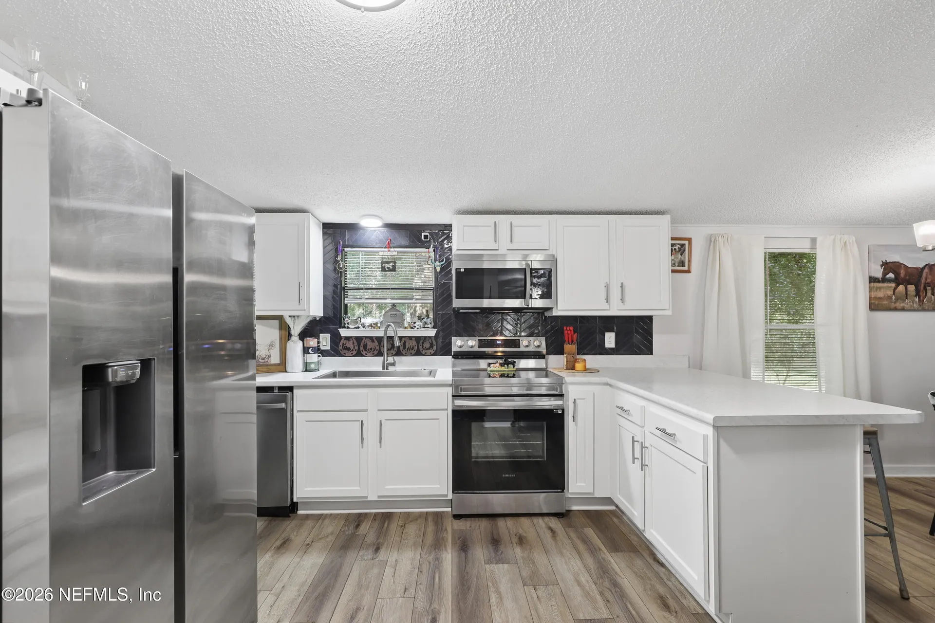 2545 Sorghum Avenue Middleburg FL 32068