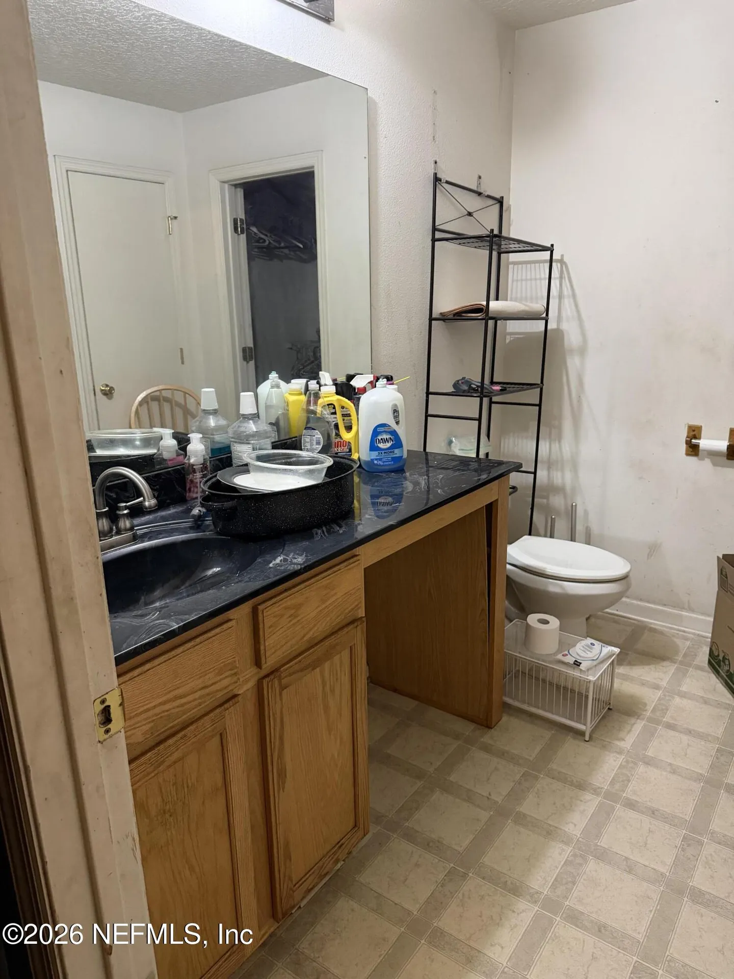 11360 Songbird Lakes Court Jacksonville FL 32221